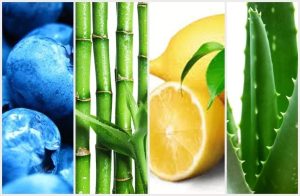 Zabieg łagodzący dla skóry wrażliwej i naczyniowej.